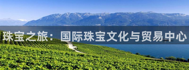 开丰娱乐登入地址在哪儿：珠宝之旅：国际珠宝文化与贸易中心