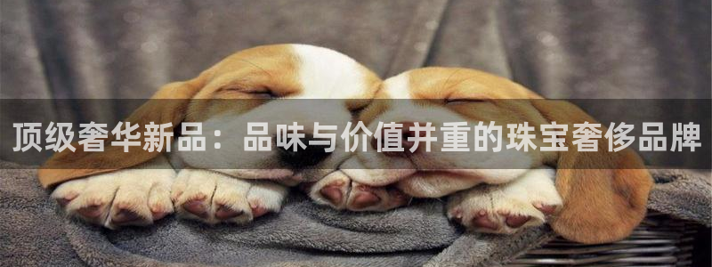 开丰娱乐官方app：顶级奢华新品：品味与价值并重的珠宝奢侈品牌