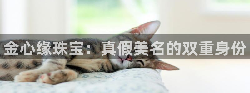 开丰娱乐若七九九：金心缘珠宝：真假美名的双重身份