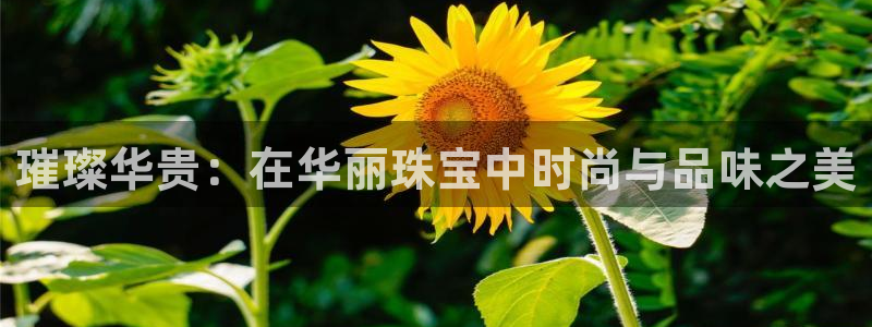 开丰娱乐登录官方网站：璀璨华贵：在华丽珠宝中时尚与品味之美