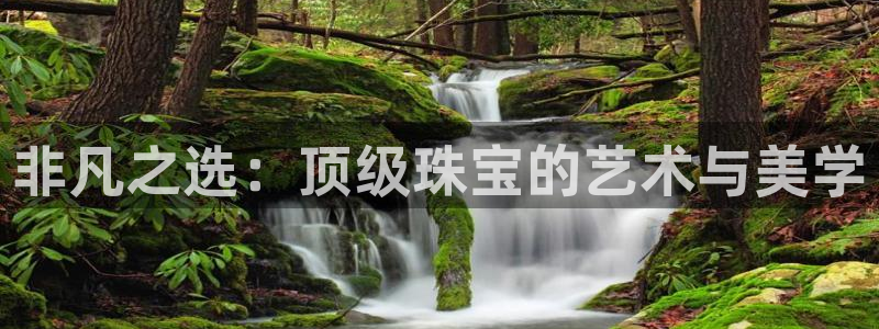 开丰娱乐平台地址在哪里：非凡之选：顶级珠宝的艺术与美学