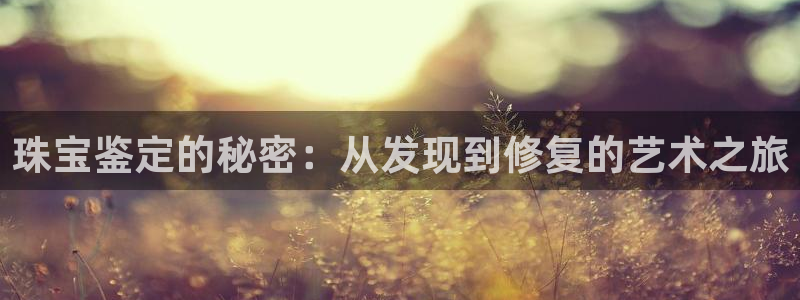 开丰娱乐平台登录：珠宝鉴定的秘密：从发现到修复的艺术之旅