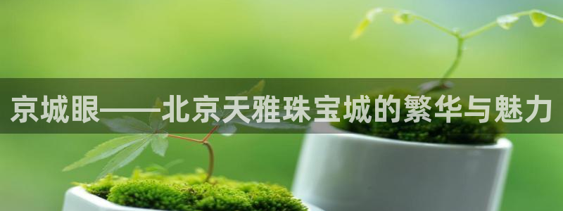 开丰娱乐不开了吗：京城眼——北京天雅珠宝城的繁华与魅力