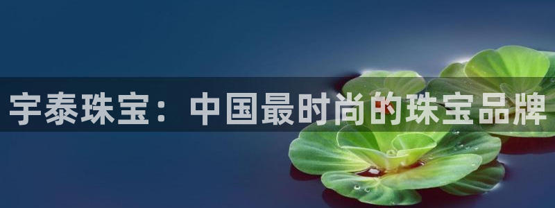 开丰娱乐乙833_43：宇泰珠宝：中国最时尚的珠宝品牌