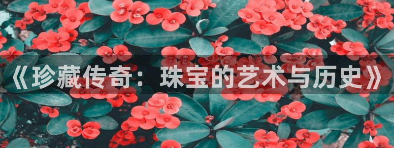 开丰娱乐登入地址在哪