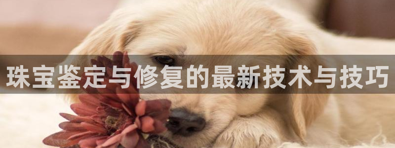 开丰娱乐登入地址在哪儿：珠宝鉴定与修复的最新技术与技巧