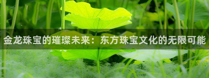 开丰娱乐除7O777：金龙珠宝的璀璨未来：东方珠宝文化的无限可能