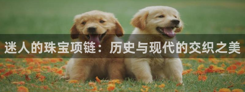 开丰娱乐开户：迷人的珠宝项链：历史与现代的交织之美